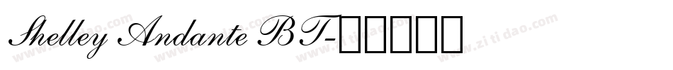 Shelley Andante BT字体转换